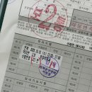 강촌세탁소 | 굉장히 알찼던 본가 일상