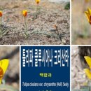 틴카 - 안산시 상록구 항가울로 71-1 | 틴카