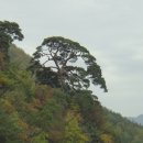 천연머리염색 전문점 이미지