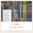 파주애견미용센터 | 파주애견미용 금촌 이뻐지개 위생목욕 솔직 후기(가격 위치 정보)