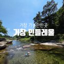 민들레 | 거창 계곡 카페 수승대 근처 민들레울 아이와 물놀이 솔직후기