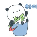 강동로-37 이미지