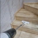 비더라이트