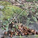 엄마랑유치원 | 솔빛숲유치원 보내 본 엄마의 찐 후기 (장단점 비교 등)