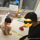 대빵놀이터 | [D+1026/33개월] 대빵이랑 주렁주렁에서 동물 친구들이랑 놀아요💛 (feat. 주렁주렁 동물원 동탄점)