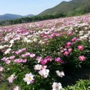 전남생약협동조합 이미지