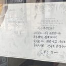 동화반점 이미지