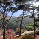 꼬미엔소 이미지