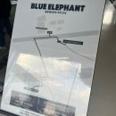 안경1번지 | 블루엘리펀트 제주 선글라스 쇼퍼백 증정 혜택 주차 팁 현장 검수 서비스까지