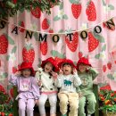 선민농장 이미지