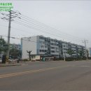 하대동309 이미지