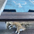 해신당건어물