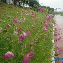 사직2동-26 이미지