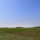 우람목장 이미지