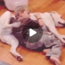 coco puppy 이미지