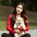 딩동댕독 | 화곡동강아지입양 퀴즈! 우리 댕댕이는 어디서 왔을까요