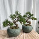 녹지원 농장 이미지