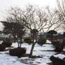 이화초교 이미지