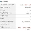 에스티큐브 이 정도만 해도 대단한 종목입니다 이미지