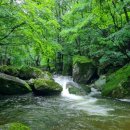 시흥계곡 주차장 이미지