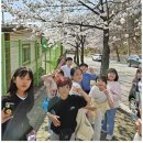 용인대 승리태권도장 이미지