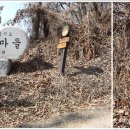 행산농장 티스토리