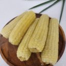 금성상회 이미지