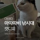 <b>캣</b>디피 | 캣닢 마따따비 낚시대 고양이 장난감