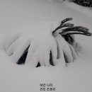 하얀나라 이미지