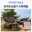 이민숙농장 네이버블로그
