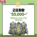 세븐일레븐부산갑을녹산병원점 | 갑을녹산병원장례식장 근조화환 간편하게 접수가능한 당일빠른배송