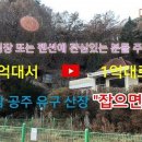 로또펜션
