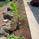 미완성농장 이미지