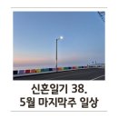 한라식료품 | 신혼일기 38. 벌써 5월이 끝이라니. 시부모님 뵙고 집밥 열심히 해 먹고 친구 만나는 일상~