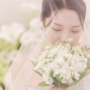제이스플로라 은방울 부케 이벤트 후기