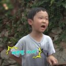 백송한의원 | [교통사고] 2025년 여름 버스 교통사고 기록과 수원 화서동 백송한의원에서 치료받은 후기🩹