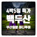 데이제로컴퍼니