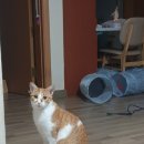 호호풀빌라 | 서울인근 실내외 수영장 풀빌라, 호호용담풀빌라 영흥, 정말 만족스러운 후기