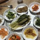 섬꽃향기 민박 | 엄마랑 울릉도 자유여행 / 독도 꿀팁, 명가식당, 저동커피