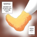 바리스타 1급 | [공지] 한국커피협회 바리스타1급 필기 후기 독학 벼락치기 꿀팁