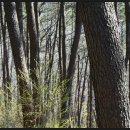 창기농장 이미지