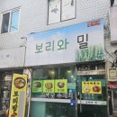 맹가네 보리와 밀 이미지