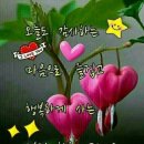 꾸물꾸물