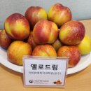 천도