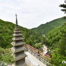 정선군청-정선읍행정복지센터 이미지