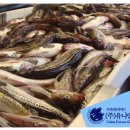 도매유통 이미지