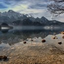 사랑이네 구제 이미지