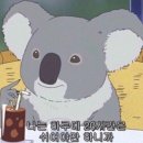 THE GYM 이미지