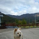 태준농장 이미지