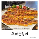 참다랑어 고창점 | 대전 월평 맛집 오빠는장어｜단일메뉴 장어 오마카세｜회식/가족모임 추천